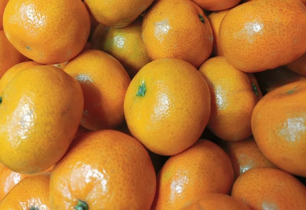 Statistical analysis correlates flavor compounds with citric fruit flavor notes