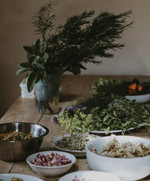 Commonly used herbs and their applications in flavors