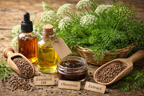 Caraway: What Flavorists Need to Know, According to the SFC